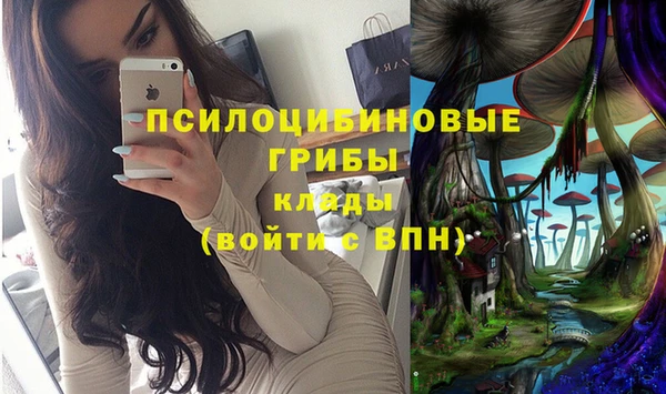 спиды Алексеевка